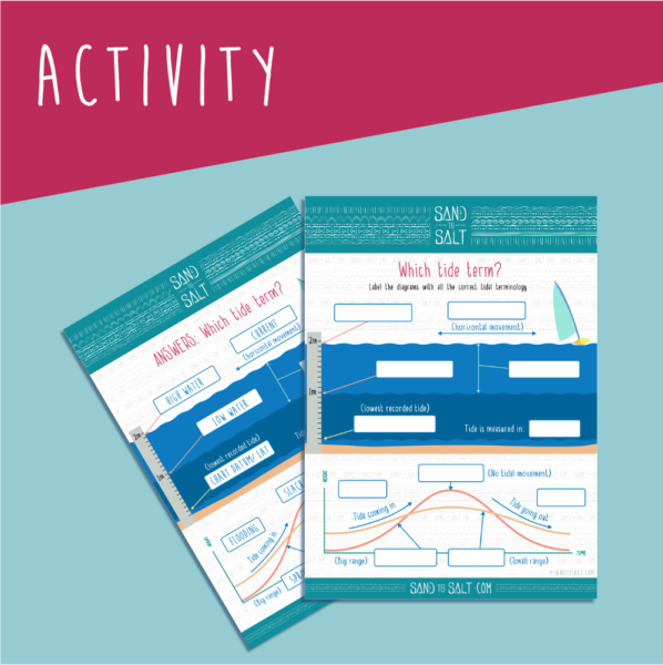 Tide table terms activity